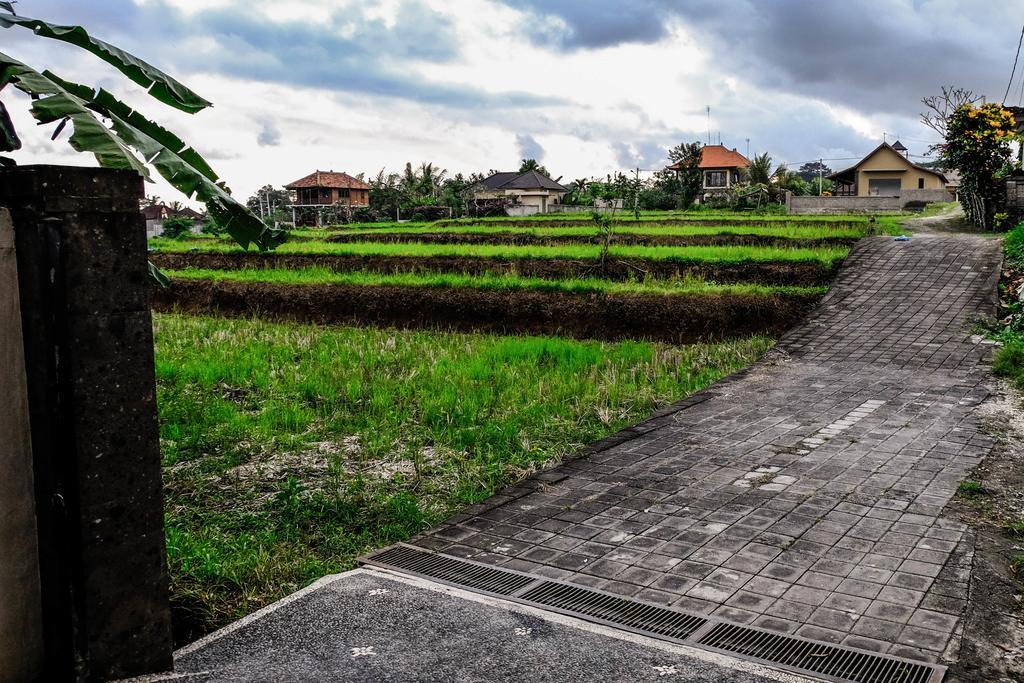 Harum Sari Ubud Private Villa Екстериор снимка